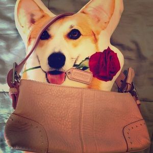 Pink Coach Pebble Leather Shoulder Bag